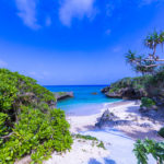 Disfruta Okinawa y Tokio (09 días)