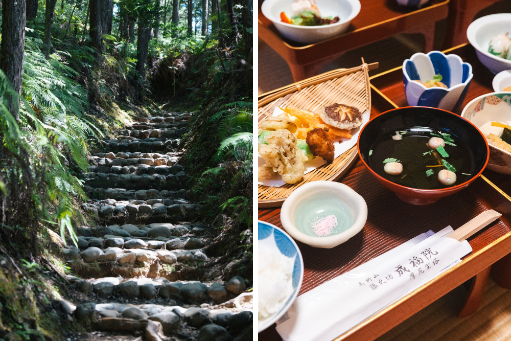 Monte Koya
